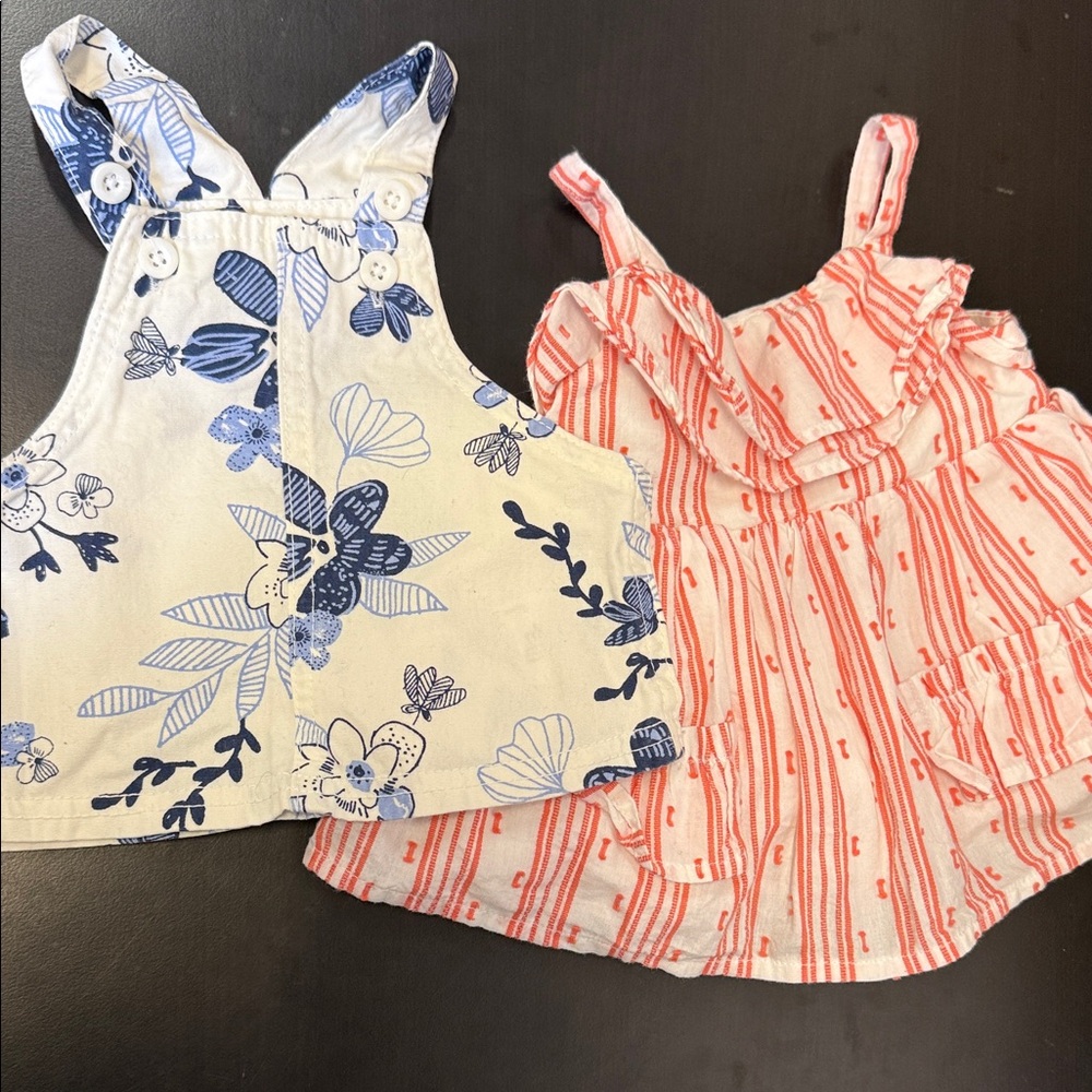 Carter's Blue Floral and Red Striped Camisoles